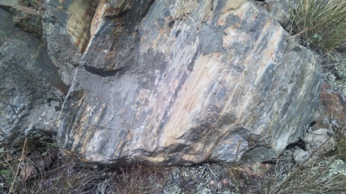 Гигантские зелёные валуны для ландшафтного дизайна весом более 5 тонн купить в Красновишерске