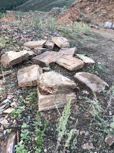 Пошаговая дорожка из плит златолит кора дерева купить в Красновишерске